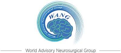 World Advisory Neurosurgical Group，WANG