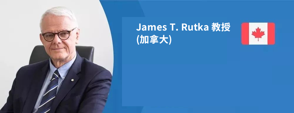 Rutka教授