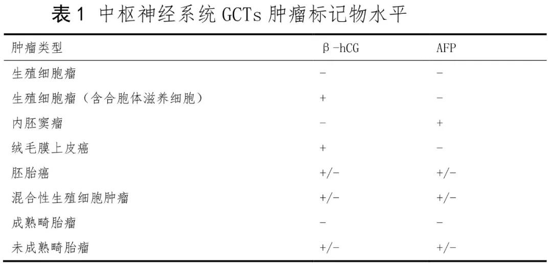 生殖细胞瘤