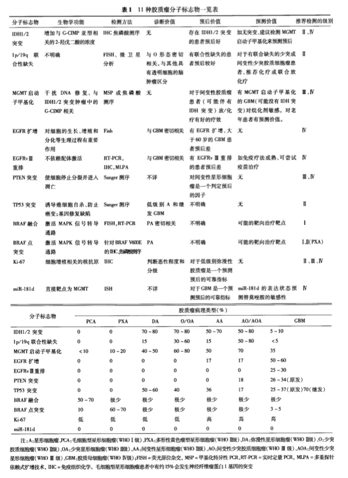 胶质瘤