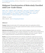 低级别胶质瘤恶性转化较新研究