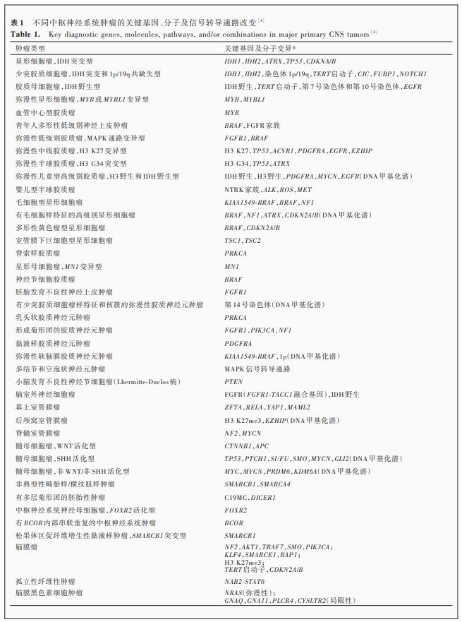中枢神经系统肿瘤分类