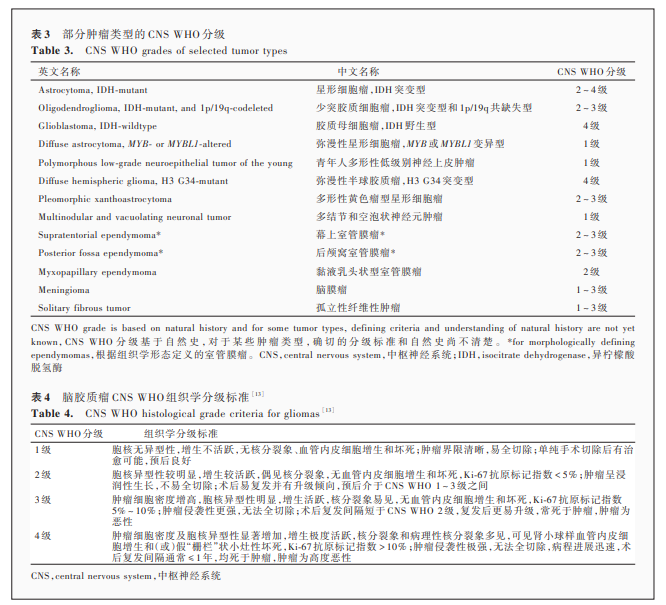 中枢神经系统肿瘤分类