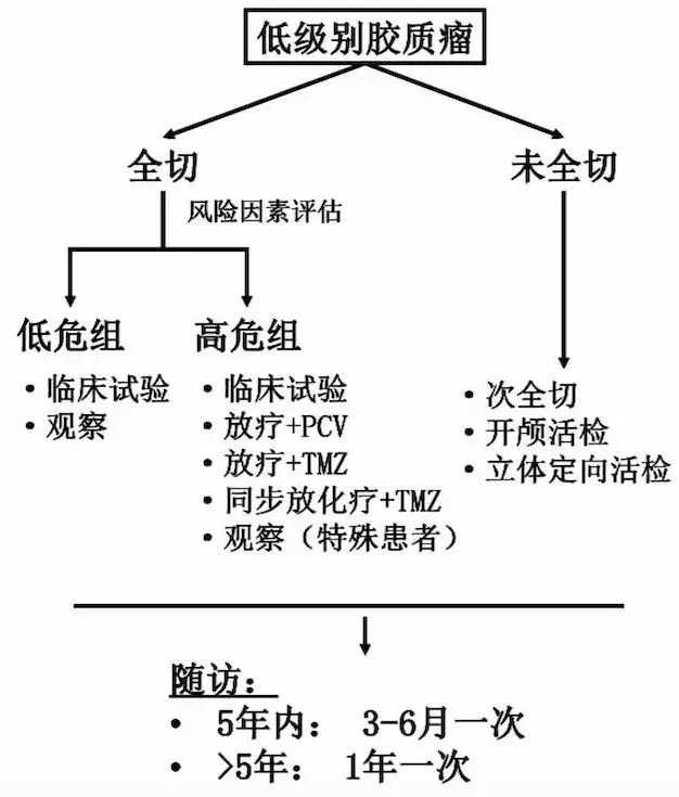 胶质瘤如何科学治疗？