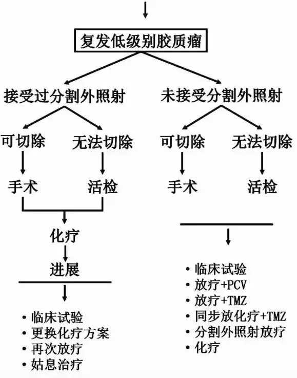 胶质瘤如何科学治疗？