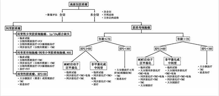 胶质瘤如何科学治疗？