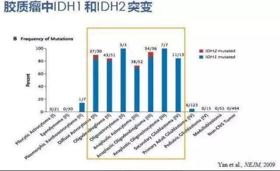 胶质瘤IDH突变