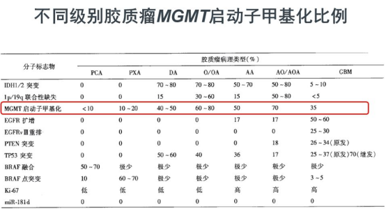 胶质瘤MGMT