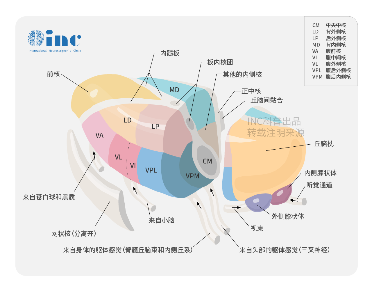 丘脑海绵状血管瘤