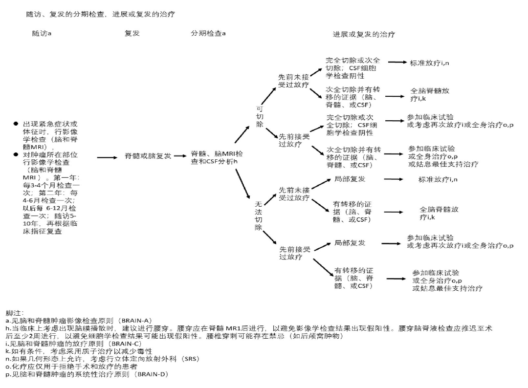 脊髓髓内室管膜瘤