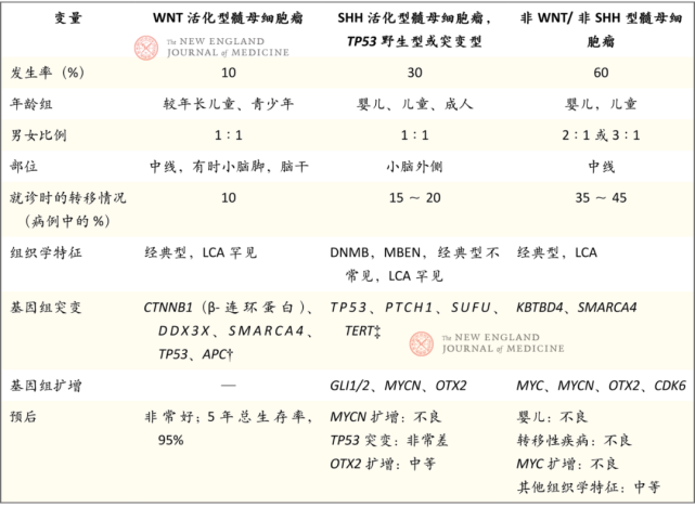 儿童脑瘤髓母细胞瘤