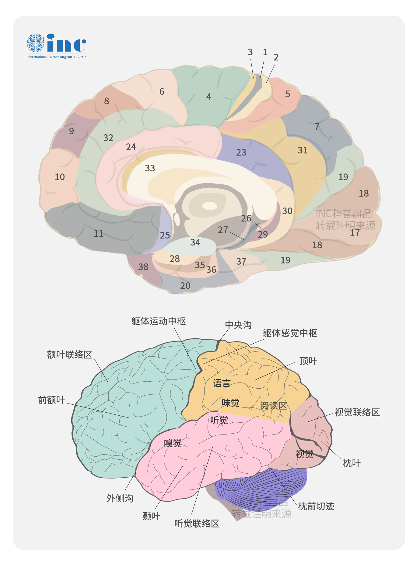 额叶胶质瘤：简单位置手术就轻松吗？