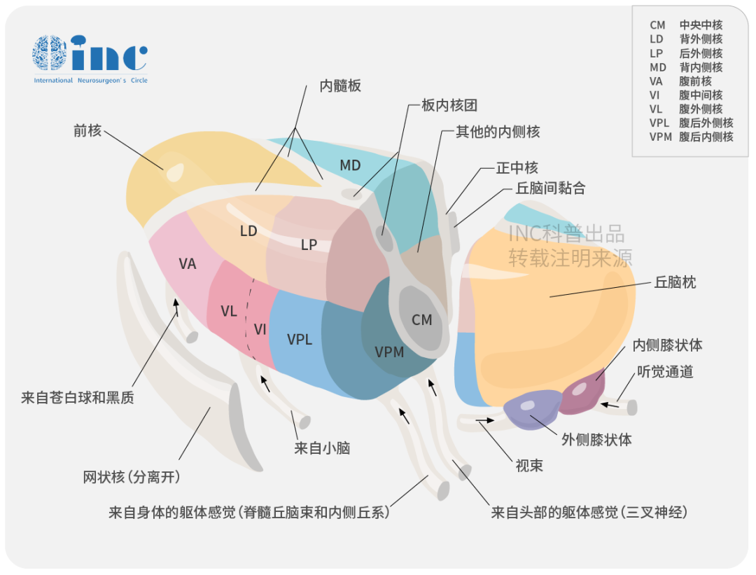 丘脑海绵状血管瘤可以手术吗？