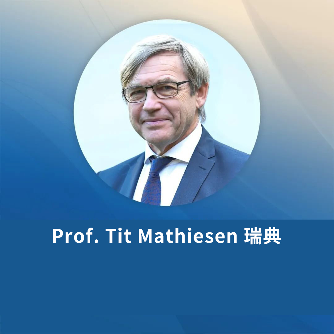 瑞典Tiit Mathiesen教授