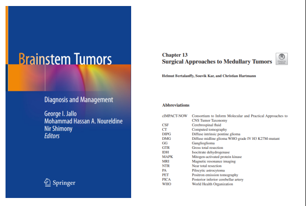 世界权威脑干手术专著《Brainstem Tumors脑干肿瘤》