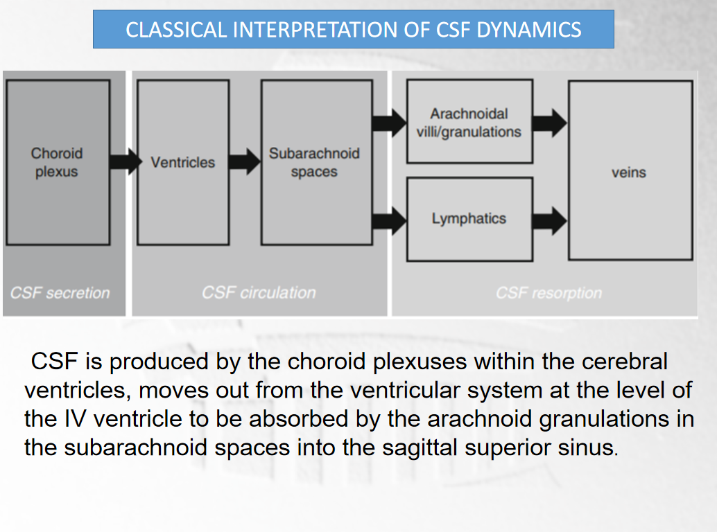 脑脊液动力学百年经典假说的争议