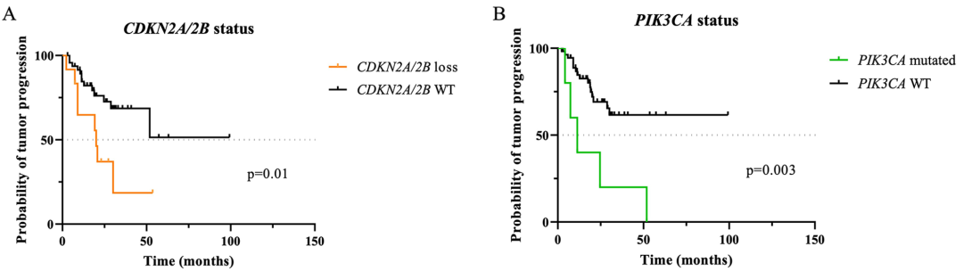 60个相应脊索瘤样本中CDKN2A/2B缺失(A)和PIK3CA突变状态(B)对PFS的预后价值（单变量分析）。WT=野生型。