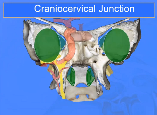 不同手术入路下颅颈交界区案例分享