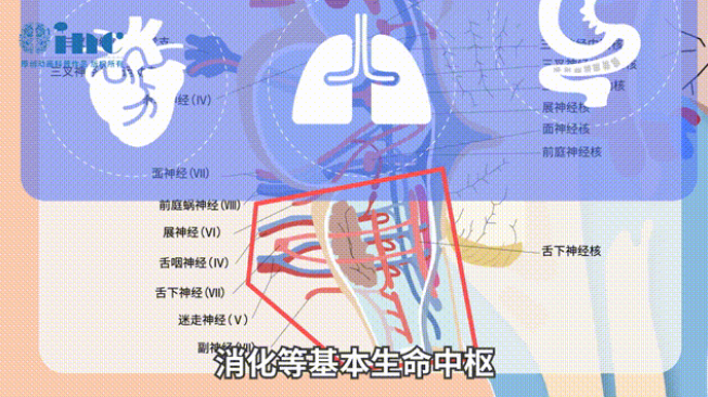 巴特朗菲教授脑干-延髓胶质瘤章节交流