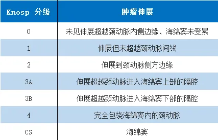 侵袭性垂体瘤——Knosp分级