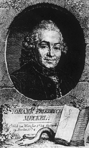 Johann Friedrich Meckel，the Elder  (1724.07.31-1774.09.18)