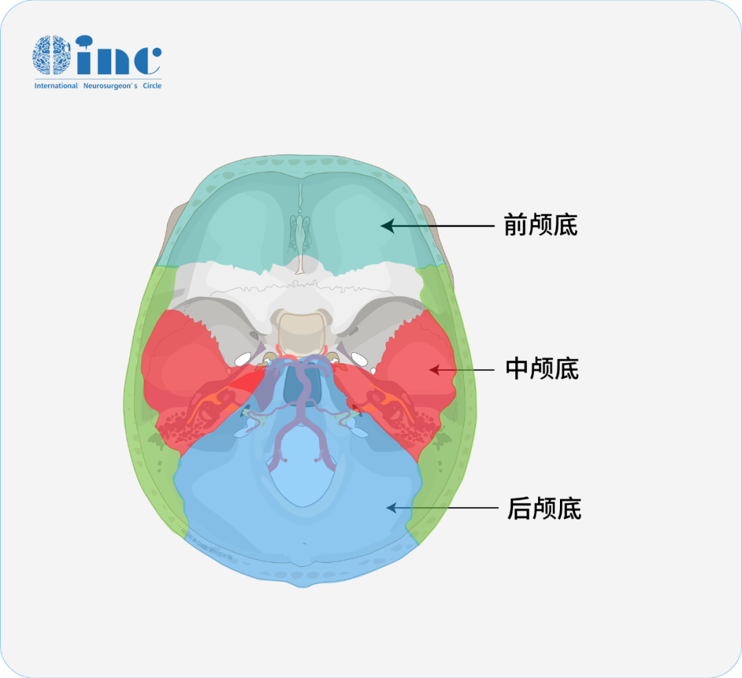 Meckel's腔