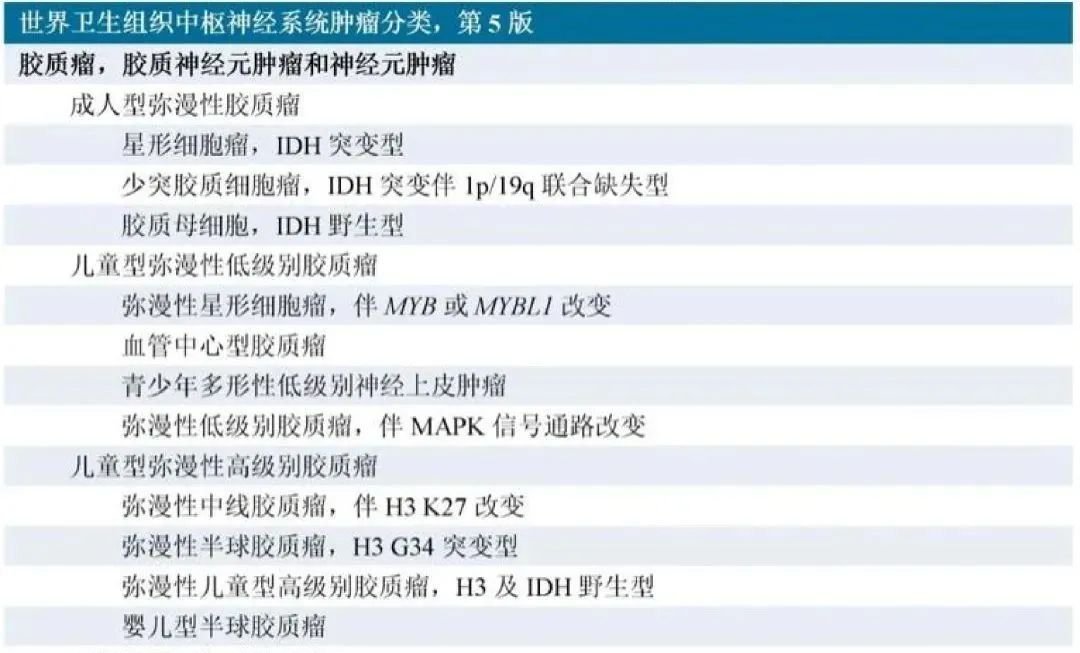 第5版《WHO中枢神经系统肿瘤分类》根据组织学和分子病理学特点将弥漫性胶质瘤分为“成人型”和“儿童型”。