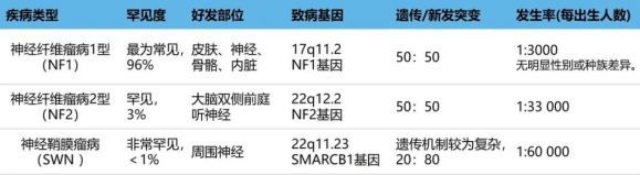 颅内脑膜瘤在NF2患者中通常是多发的，且发病年龄较轻，大约45%至58%的患者会出现颅内脑膜瘤，而脊柱脑膜瘤的发生率约为20%。在本研究中，NF2患者的预期寿命明显缩短，长期生存率不佳，死亡时的平均年龄为40岁。