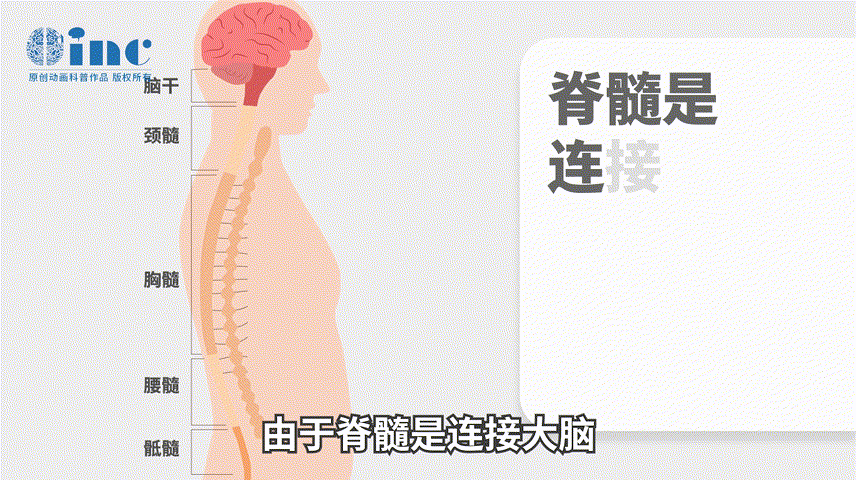 脊髓肿瘤