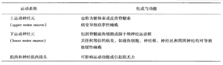 运动系统的组成