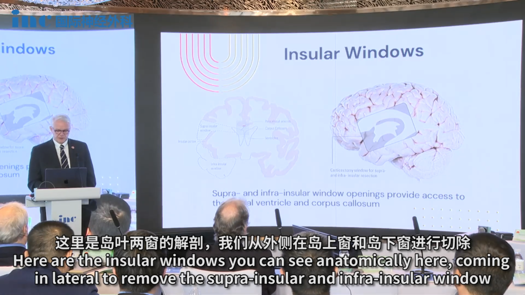 这里是岛叶两窗的解剖，我们从外侧在岛上窗和岛下窗进行切除。