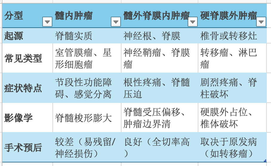 脊髓肿瘤的分型主要基于解剖位置（椎管内外、硬脊膜内外、脊髓内外），不同分型直接影响肿瘤的临床表现、影像学特征及治疗策略。