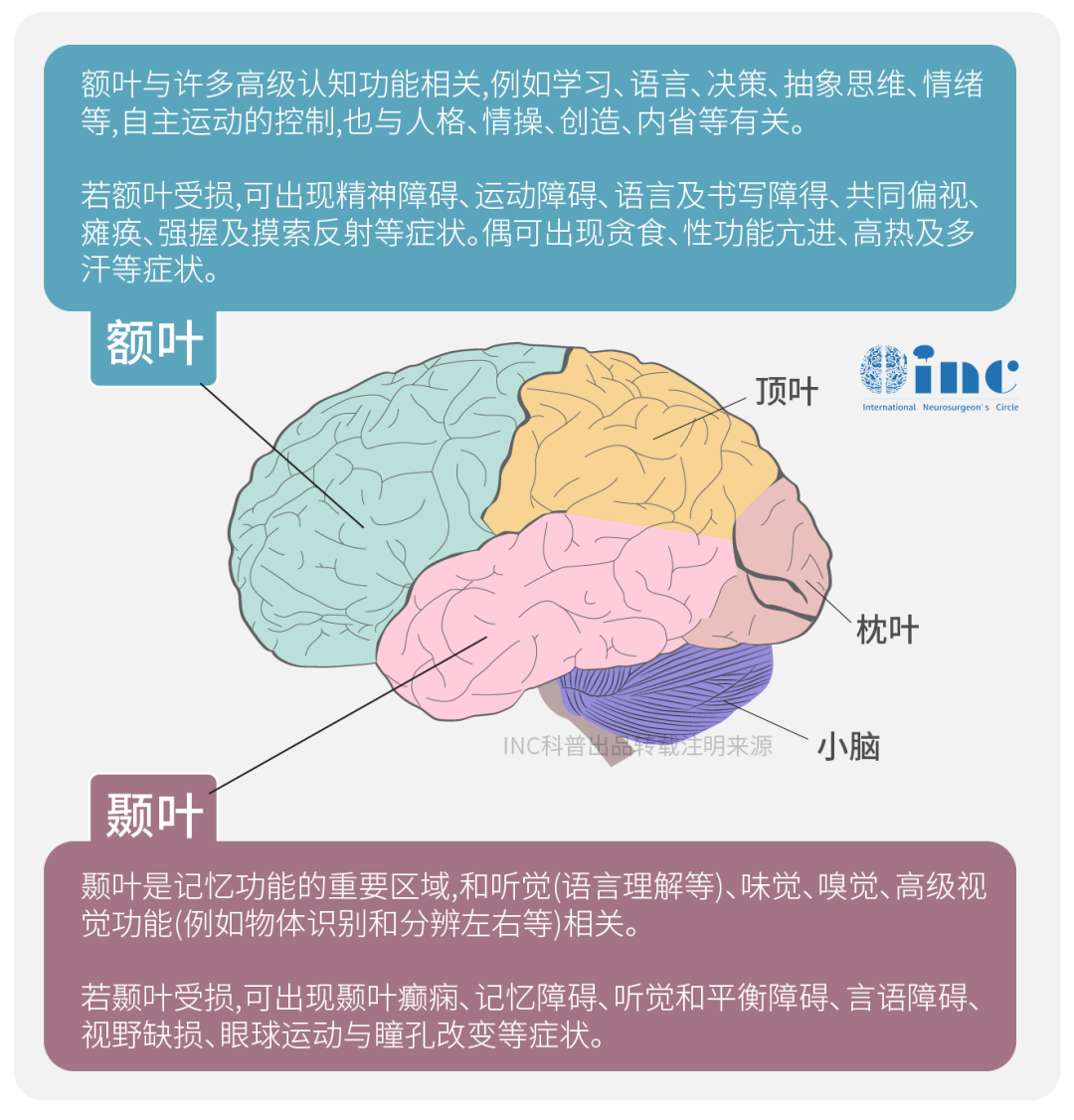 长期脑缺血导致神经元不可逆损伤