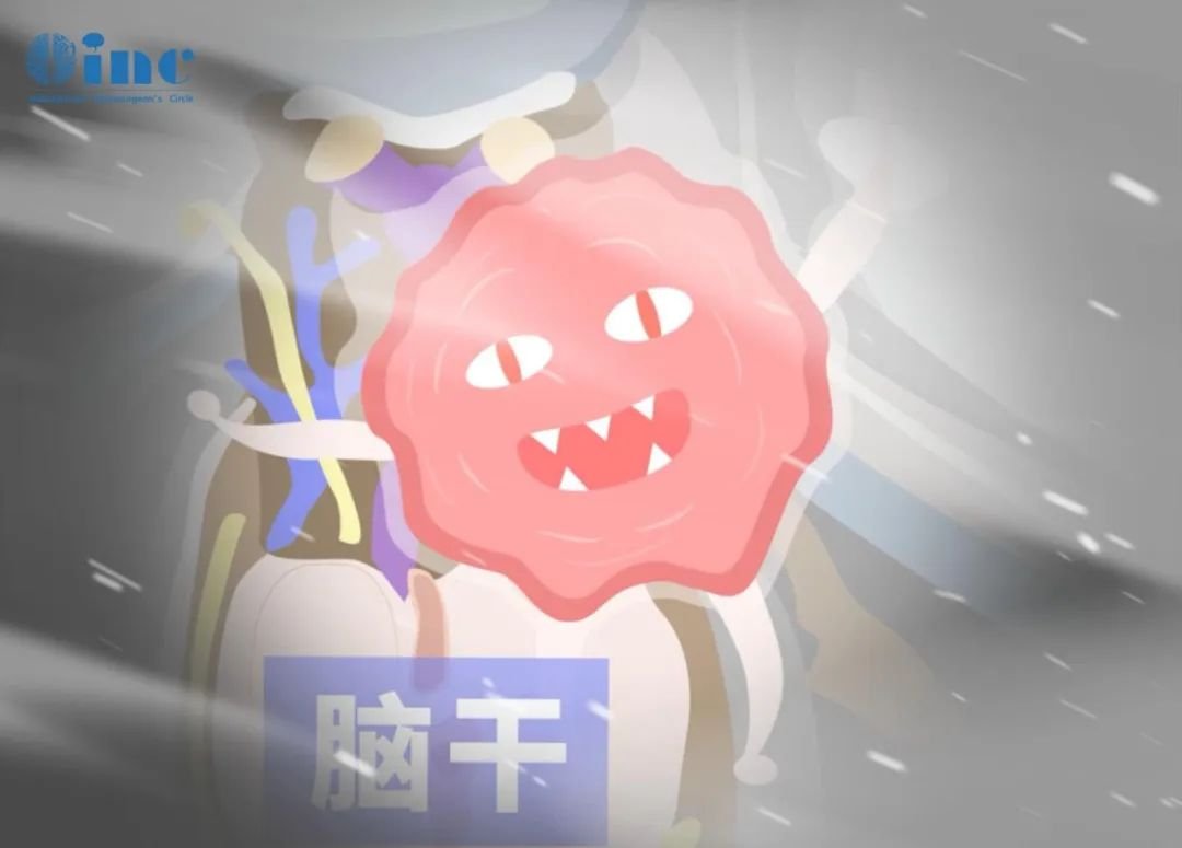 脑干