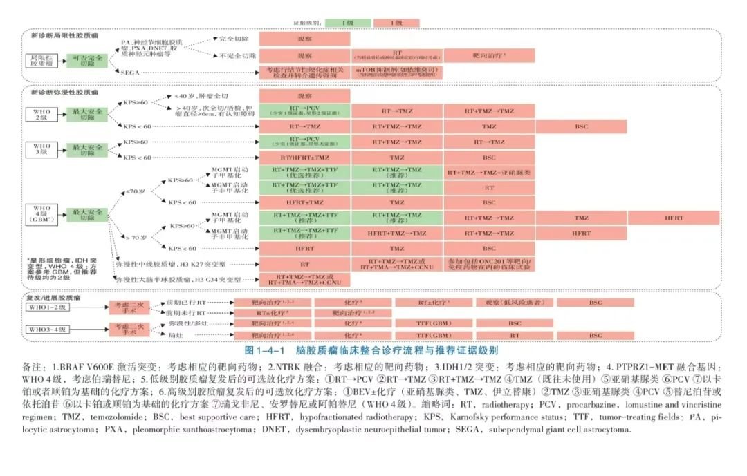 中国抗癌协会脑胶质瘤整合诊疗指南(2024版)