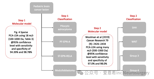 图3. 使用PIRL-MS对主要儿科脑癌进行监督式两步分类的协议。通过结合本文的研究成果与我们之前的工作，我们提出了一种用于在10秒内对7种儿科脑癌进行分类的监督式两步协议。该方法使用两个包含4个组件的PCA-LDA模型，部署在引用的质量范围内，以提供高于94%的敏感性和特异性，用于儿科脑癌类型的分类。第一个模型仅使用18种代谢物的特征列表，这些代谢物的特征已经明确;第二个模型则深入探讨髓母细胞瘤的分子亚组，将使用大量m/z特征，其中一些目前尚未明确。