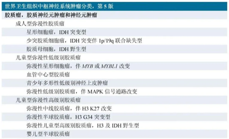 2021年第5版《WHO中枢神经系统肿瘤分类》根据组织学和分子病理学特点将儿童型胶质瘤单独分为两大类，即儿童型弥漫性低级别胶质瘤和儿童型弥漫性高级别胶质瘤。