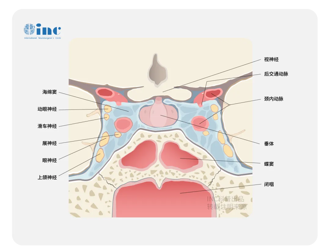 任何细微的失误都可能导致大出血或永久性的神经损伤
