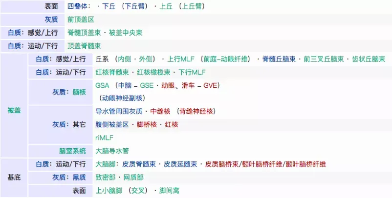 脑干中脑部位的解剖结构
