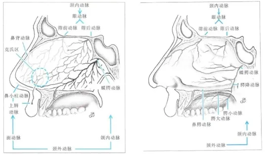 脊索瘤可以全切不复发吗？从活检危机到彻底根治