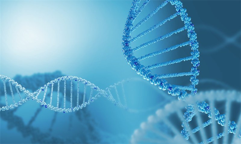 组织细胞肉瘤是什么？怎么引起的？如何治疗？
