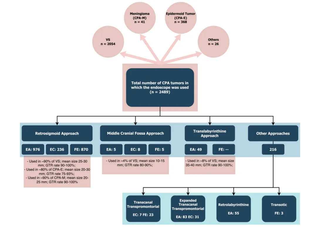 收集的患者分布情况（包括病例报告和病例系列，不论总例数），按病理类型和手术入路分类。