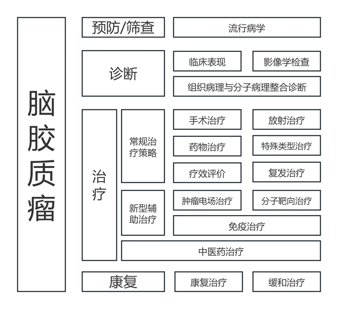 中国指南，比如中国肿瘤整合诊治指南（CACA）——脑胶质瘤(V2.0 2025)，内容涵盖包括诊断评估、手术、放疗、药物治疗、康复等各方面。