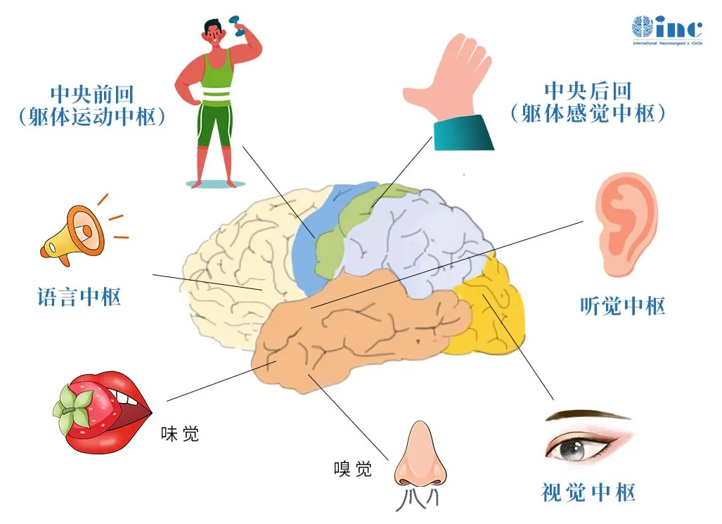 手术的目标，在彻底清除”病灶“的同时，确保功能不会受损。