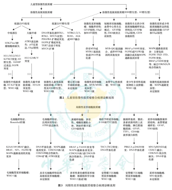 儿童弥漫性胶质瘤整合病理诊断流程 & 局限性星形细胞胶质瘤整合病理诊断流程
