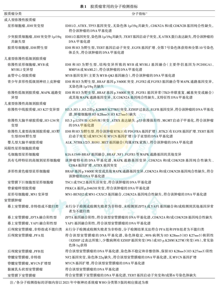 胶质瘤常用分子检测指标