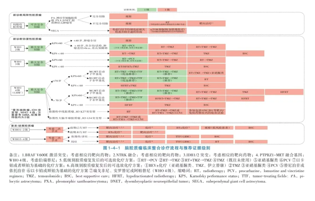 综合《中国抗癌协会脑胶质瘤整合诊疗指南（2024版）》及《美国国立综合癌症网络（NCCN）指南》可以明显发现，无论是国内外的指南还是共识，均认同多学科合作及个体化治疗，同时一再强调手术切除的首要地位。