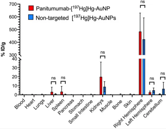 图 6 168 h p.i. 时帕尼单抗-[¹⁹⁷Hg]Hg-AuNP 与非靶向 [¹⁹⁷Hg]Hg-AuNP 的生物分布。肿瘤未能从脑组织中分离，计入右半球组织；左半球及小脑无肿瘤。数据为均值±SD（n＝4–5）。此时点两种纳米粒生物分布无显著差异（P＞0.05）。