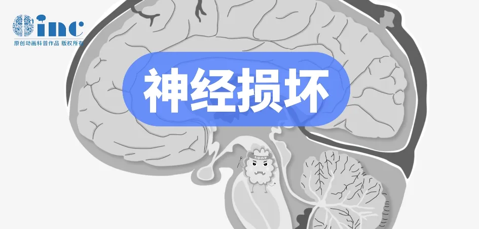 等到若干年后有了症状过后去医院复查，此时肿瘤可能已经长大或者恶性进展了，变成了恶性肿瘤。
