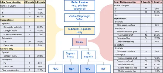 图2总结了专家处理鞍膈蛛网膜破损型缺损的实践方案。60%专家推荐至少两层嵌片,40%仅使用单层。